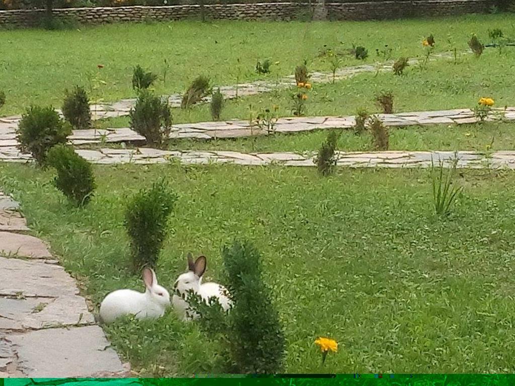 Holiday Park Ranchoto Ξενοδοχείο Κίρκοβο Εξωτερικό φωτογραφία